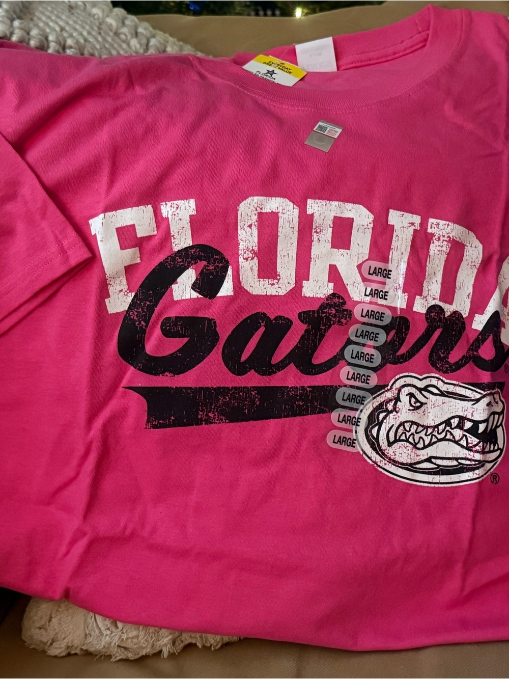 Hanes Hot Pink Florida Gators Short Sleeve Tee